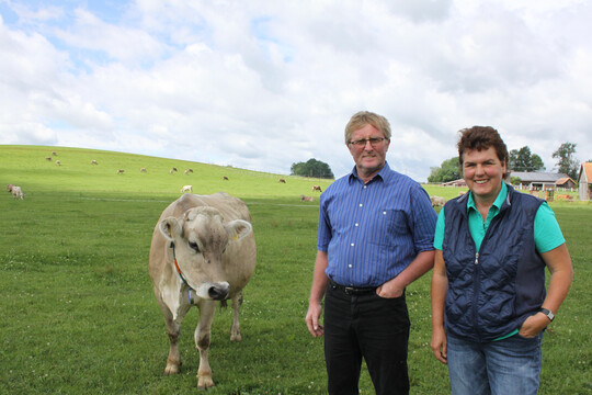 Fridolin und Brigitte Ortmann treiben ihre Braunviehk�he regelm��ig auf die Weide. Mit dem Melkroboter, den sie vor einiger Zeit auf ihrem Betrieb in Oberharprechts (Landkreis Ravensburg) eingebaut haben, l�sst sich mit dem t�glichen Auslauf der Wiederk�uer gut kombinieren.