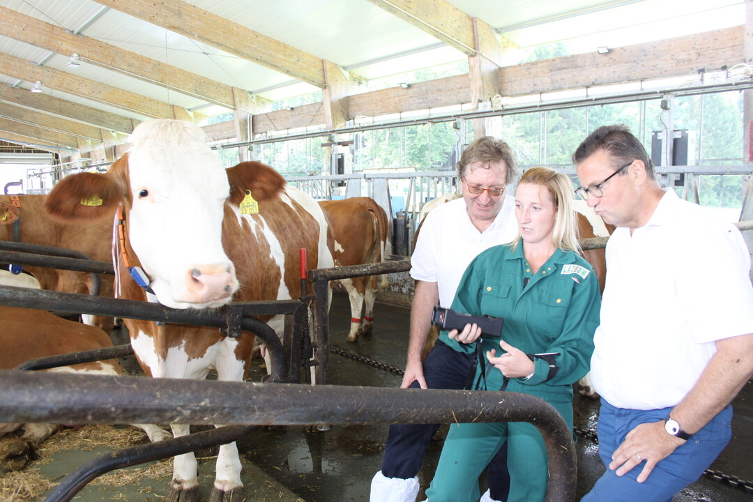 �Das Ger�t misst die Methankonzentration in der Atemluft der K�he. Ob sie sich durch einen Futterzusatz ver�ndern l�sst, erproben wir derzeit�, erl�utert Projektmitarbeiterin Dr. Julia Heinicke Agrarminister Peter Hauk (r.) und LAZBW-Direktor Franz Schweizer (l.). Die Forschungseinrichtung ist einer von acht Partnern der bundesweiten Praxisstudie �emissionCow�.