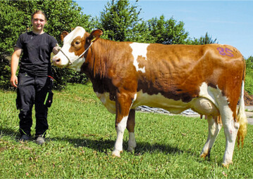 An der Spitze der Fleckvieh-Jungkühe rangierte eine Walot Tochter vom Betrieb Karsten Kappes aus Boxberg-Bobstadt.