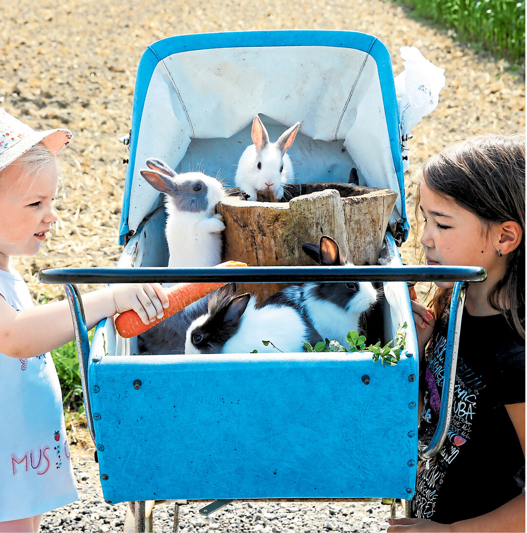 In Aderzhofen im Landkreis Biberach fahren Jule (l.) und Anne mit ihre kleinen Freunden in einem besonderen Hasentaxi auf einem Feldweg spazieren.