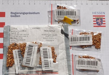 Unerwünschte Post aus China