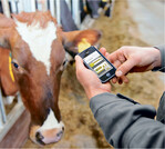 Die richtige Kuh schnell und einfach im Stall finden.