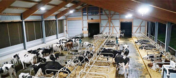 Blick von der B�hne �ber den gut ausgeleuchteten Laufstall von Peter Mosberger.