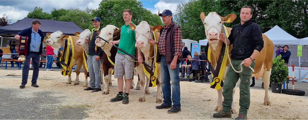 Die pr�mierten Sch�nheiten bei der Jubil�umsrinderschau in Ellwangen.