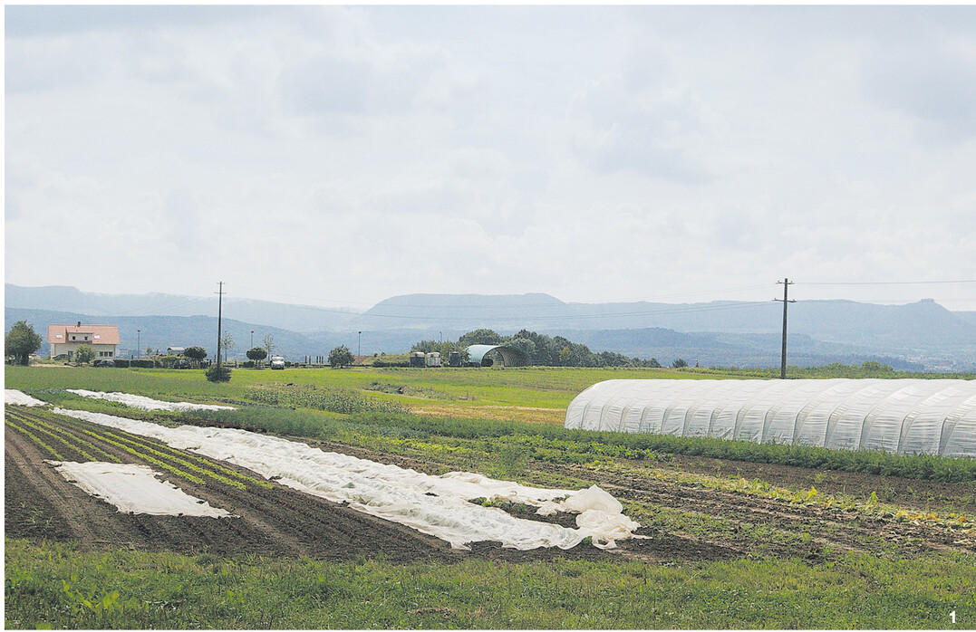 Auf der Oberensinger H�he hat man von den Feldern des Hopfenhofs einen wunderbaren Blick auf die Schw�bische Alb.
