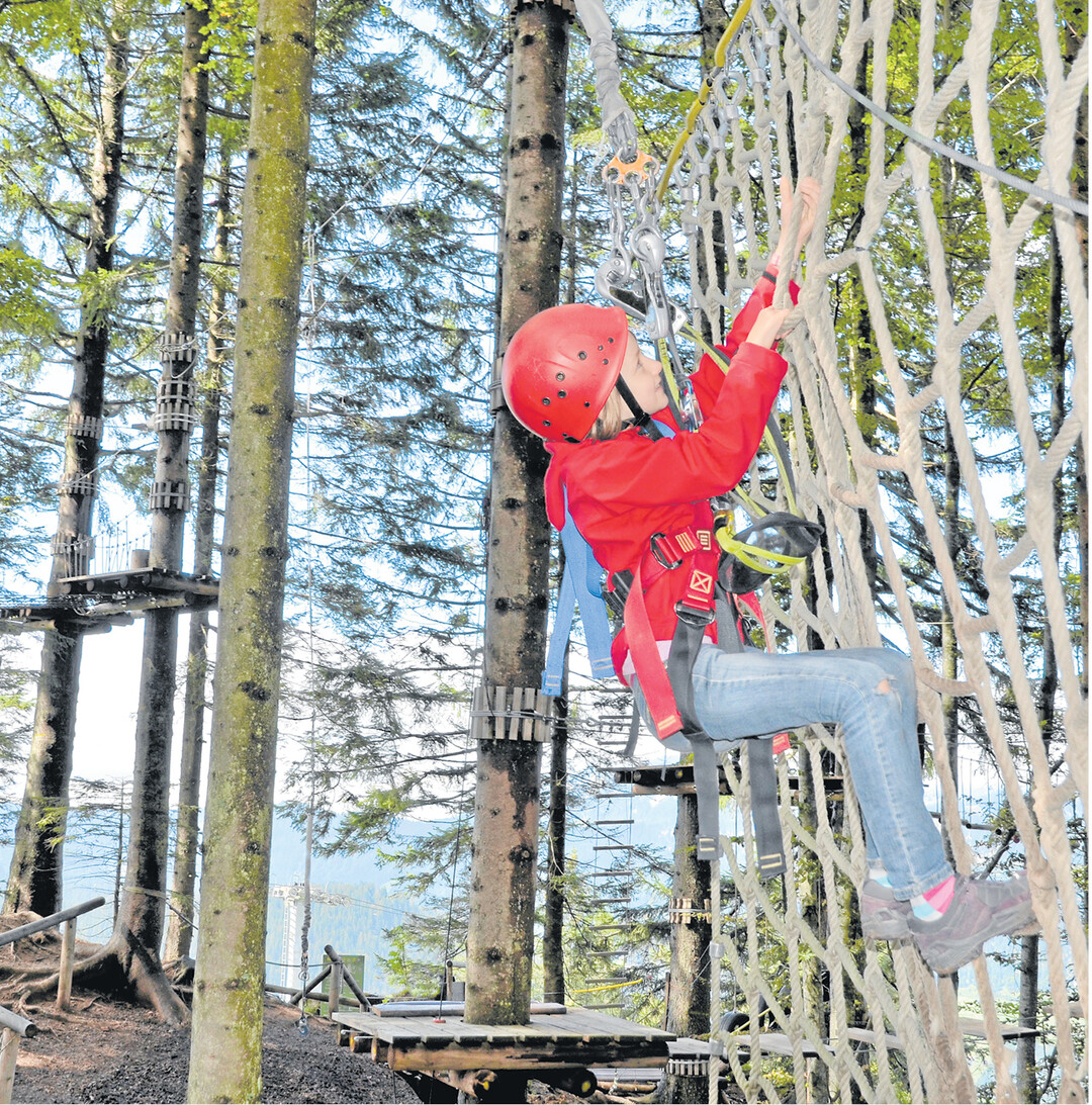 bild der woche In einem Waldseilpark gibt es Kletterm�glichkeiten an lebenden B�umen. Viele der derzeit neugebauten Kletterparks sind Waldseilparks. Die Plattformen des Hochseilparks sind im Freiland oder auf einer Wiese an k�nstlich errichteten Pf�hlen befestigt, zwischen denen sich die �bungen befinden. Eine Liste von Kletterparks in Baden-W�rttemberg finden Sie im Internet unter www.kletterparks.info