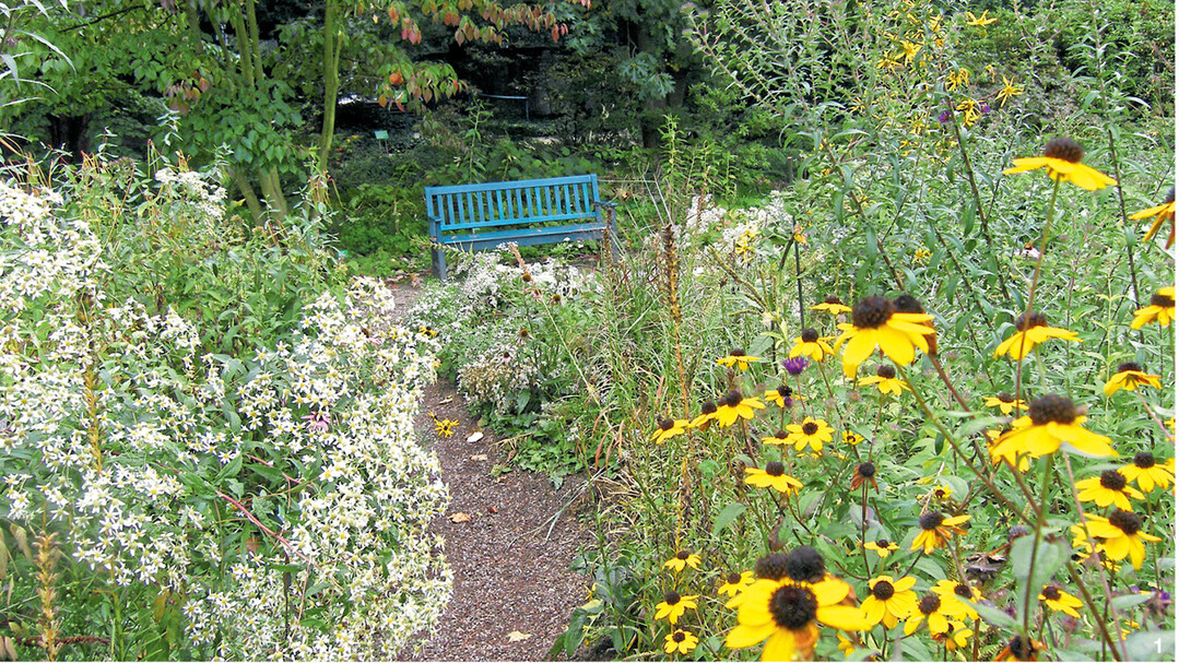 Der Schaugarten Hermannshof in Weinheim holt die nordamerikanische Pr�rie ins L�ndle. �ber Pfade gelangt man durch das Gartenparadies.