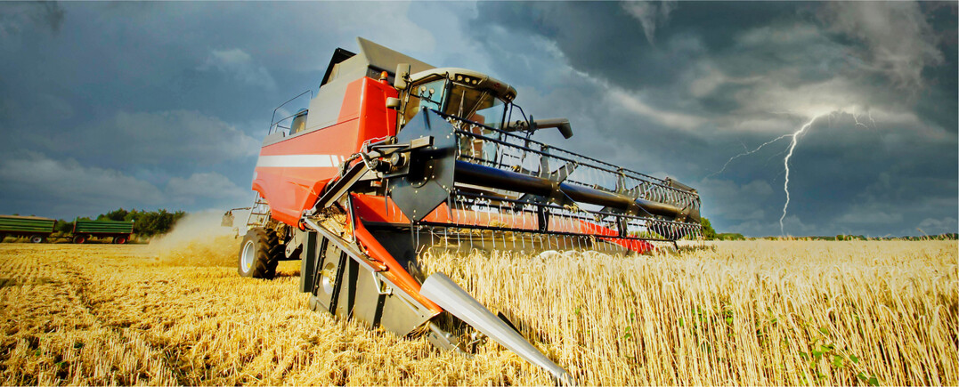 Regen gab es bereits zu viel in diesem Jahr. Darunter litten alle Freilandkulturen.
