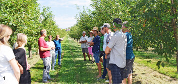 Erfahrungsaustausch �ber das Management von Bl�hstreifen in einer Kirschanlage.
