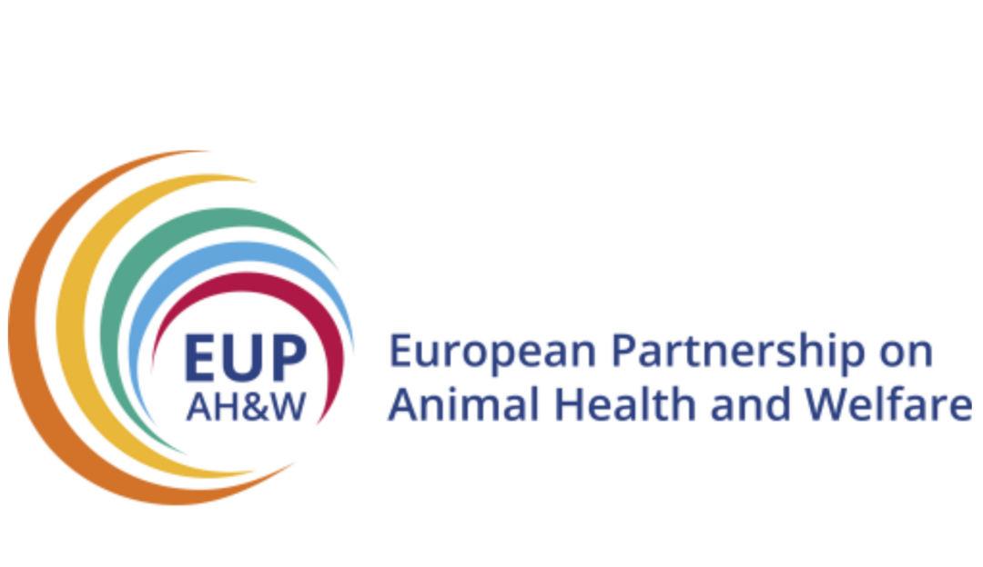 Die Europäische Partnerschaft für Tiergesundheit und Wohlbefinden wurde mit 360 Millionen Euro Fördergeldern ausgestattet.