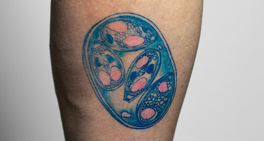 Hagis verewigte ein Abbild des Parasiten als Tattoo auf seiner Wade.