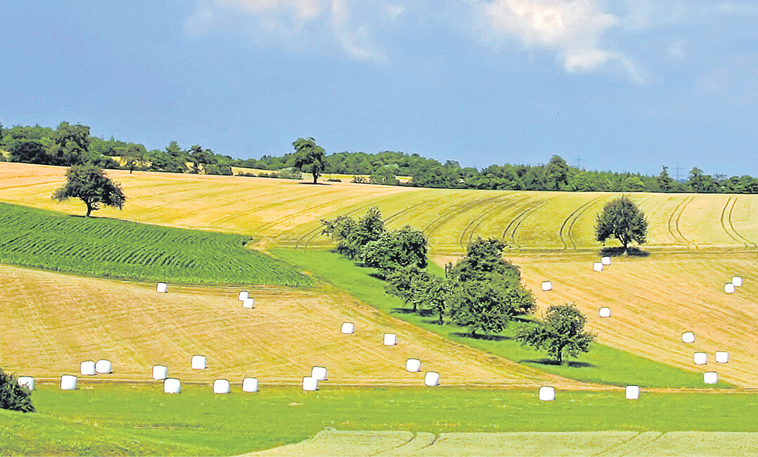 Durch jahrhundertelange Nutzung sind reich gegliederte Kulturlandschaften entstanden