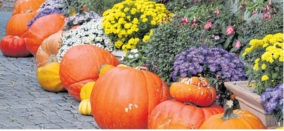Eine K�rbisgirlande entlang des Weges bringt warme Herbstfarben in die Dekoration rund um Haus und Hof.