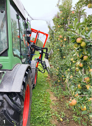 Das Entbl�tterungsger�t muss eng an den B�umen entlanggef�hrt werden. Ideal ist es, wenn alle B�ume die gleiche Silhouette haben.