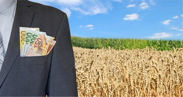 Die M�rkte f�r Getreide und Raps sind so wertvoll wie lange nicht. Das macht K�ufer und Verk�ufer nerv�s: Keiner will zu viel bezahlen beziehungsweise zu wenig erzielen.