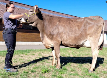 Schaufertige Canyon-Tochter mit extrem gut angebundenen Voreuter von Andreas H�rmann, vorgestellt von Teresa H�rmann.