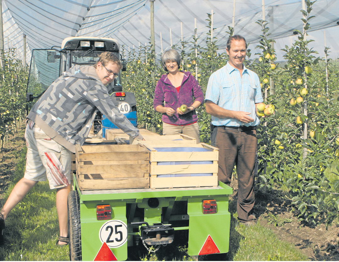 In diesem Jahr vermarktet Familie Brielmayer ihre �pfel erstmals als Umstellungsware. Sohn Jonas pfl�ckt mit seinen Eltern Sabine und Karl gerade die Fr�hsorte Delbarestivale. Geplant ist, das noch auf den Anbau aus Integrierter Produktion (IP) ausgerichtete Sortiment durch schorfrobustere Sorten zu erg�nzen.