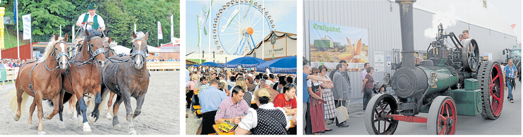Tiere � Technik � Traditionen: Die Tiervorf�hrungen im Gro�en Ring geh�ren ebenso traditionell zum Landwirtschaftsfest in M�nchen wie gem�tliches Beisammensein und das Staunen �ber neue wie alte Technik.