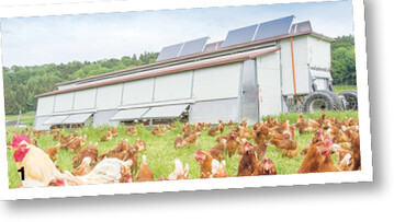 HüMo MAX XL 1 200 von Stallbau Weiland.