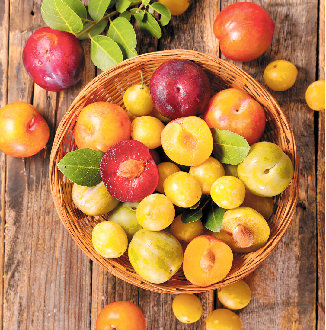 Pflaumen haben verschiedene Unterarten, wie beispielsweise die Mirabelle oder auch die Zwetschge. Jetzt haben sie Saison. Auf den folgenden Seiten gibt es Infos und Rezepte f�r s��e und pikante Leckereien aus den saftigen Fr�chten.