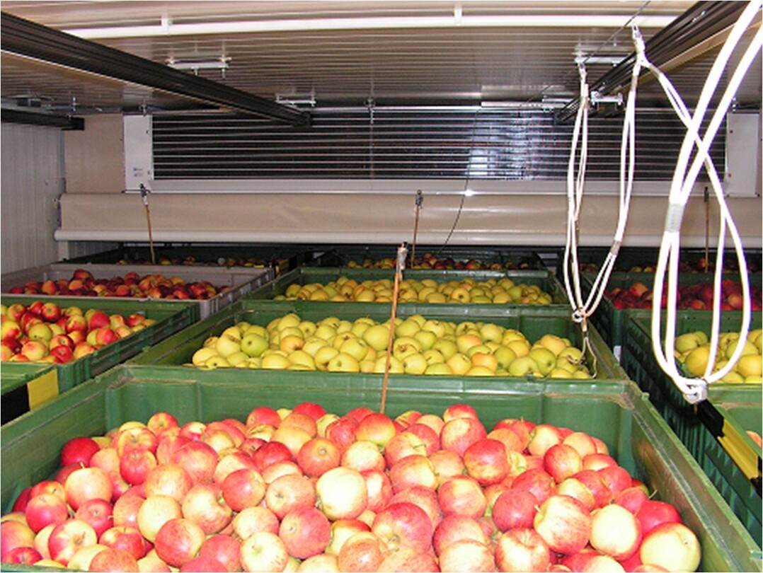 Bei der Einlagerung sollte auf ausreichend Abst�nde der Kisten geachtet werden, damit die Lagerluft ungehindert zirkulieren kann.