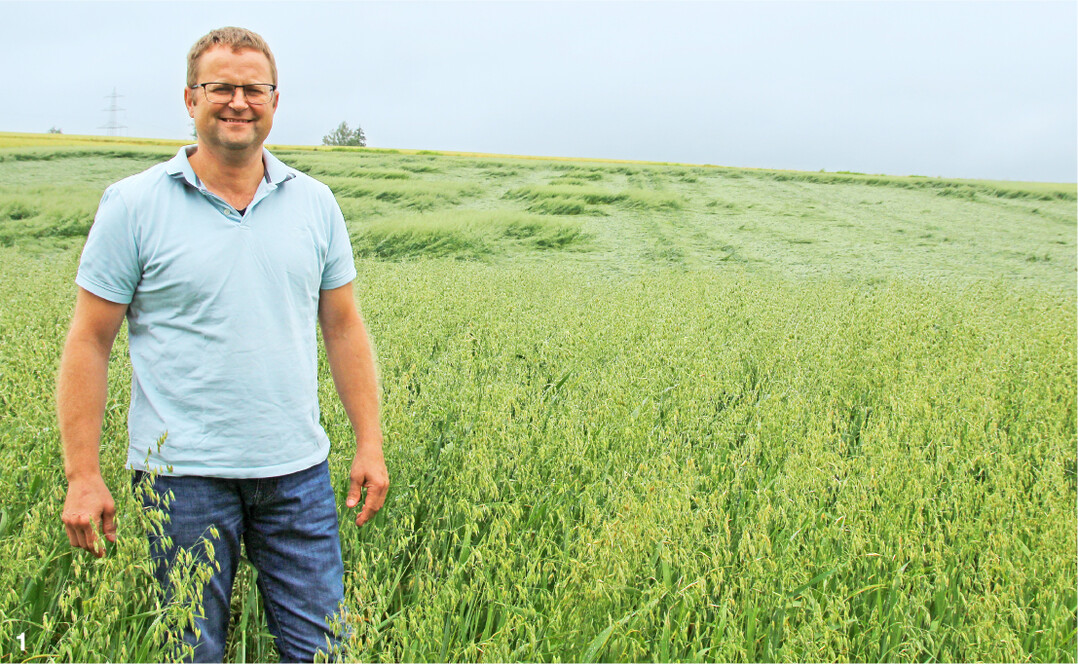 J�rgen Maurer nach dem kr�ftigen Regenguss vor seinem Haferfeld.