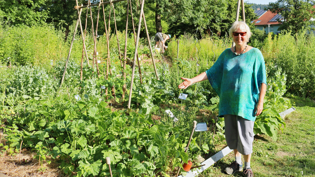 Uschi Hollunder, Leiterin des Mitmachgartens Waldkirch im Breisgau, freut sich �ber die gro�e Vielfalt an Nutzpflanzen in ihrem Garten.