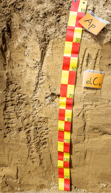 Goethit verleiht den Böden der gemäßigten Klimazone ihre charakteristische Färbung. I