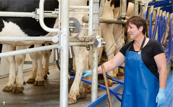 Angesichts der stark gestiegenen Kosten sollte beim Melken möglichst viel Energie eingespart werden.