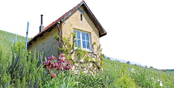 Ein Wengerthäusle der Jungwinzerin.