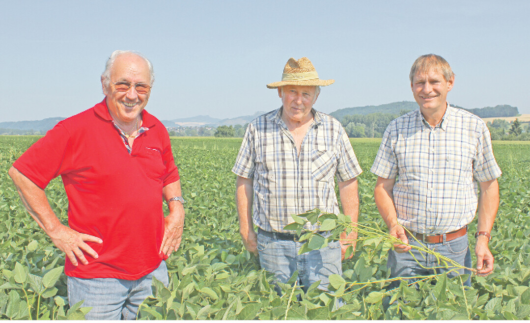 Wenn Sojabohnen angebaut werden, muss danach eine Winterkultur kommen oder eine Zwischenfrucht. Das verlangen die Greeningrichtlinien. Auf dem Feld von Rainer Riedlinger, Singen-Bohlingen, stehen 600.000 bis 700.000 Pflanzen pro Hektar. Sie beschatten den Boden und sind von daher auch sehr wertvoll f�r die nachfolgende Frucht. �Der Weizen nach Sojabohnen sieht einfach fast immer gut aus", freut sich Riedlinger. Daran haben auch die ZG-Berater Dieter Block (links) und Hubert Sprich (rechts) ihren Anteil.