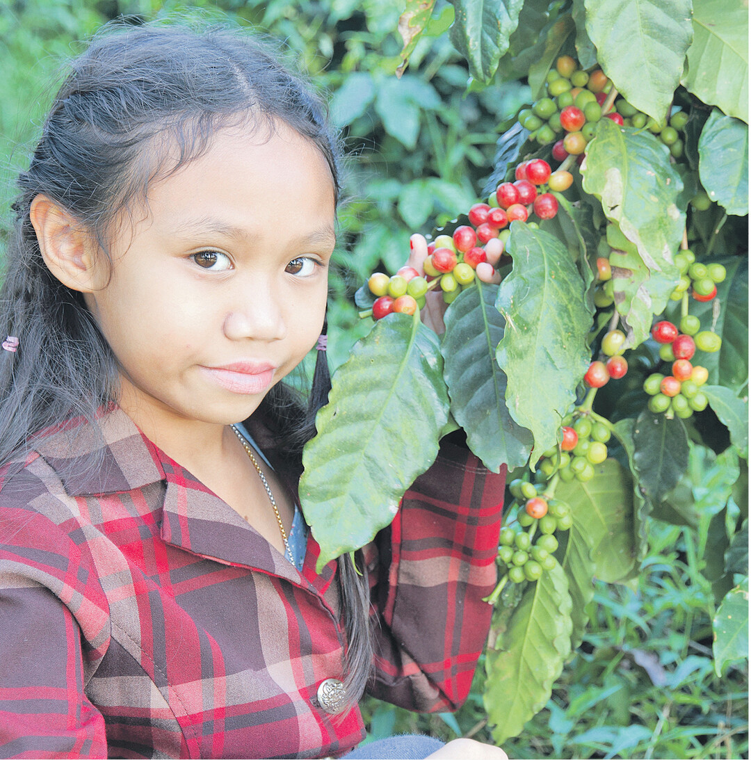 Auch Kleinbauern in S�damerika oder Afrika w�nschen sich faire Preise f�r ihre Erzeugnisse Kaffee, Kakao, Bananen oder Ananas, genauso wie Arbeiterinnen auf Kenianischen Rosenfarmen und Teeplantagen, um ihren Kindern die Zukunft zu sichern. Ab 11. bis 25. September machen Weltl�den, Superm�rkte und andere Organisationen mit bundesweit �ber 2000 Aktionen auf den Fairen Handel aufmerksam und ermuntern zum bewussten Einkauf. Mehr Infos: www.fairewoche.de