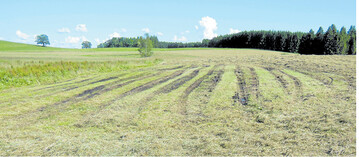 Bedingt durch die gro�en Niederschlagsmengen war der Untergrund mancher Gr�nlandfl�che so stark vern�sst, dass Fahrspuren in nur kurzen Erntefenstern nicht ausblieben. Im Fr�hherbst sollten diese Narbensch�den nun behoben werden.