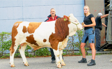 Als Reservesieger beim Fleickvieh ging dieser gut entwickelte Hayabusa-Sohn von Matthias Schupp aus Waldshut-Eschbach hervor. Er stammt aus einer Willetochter.