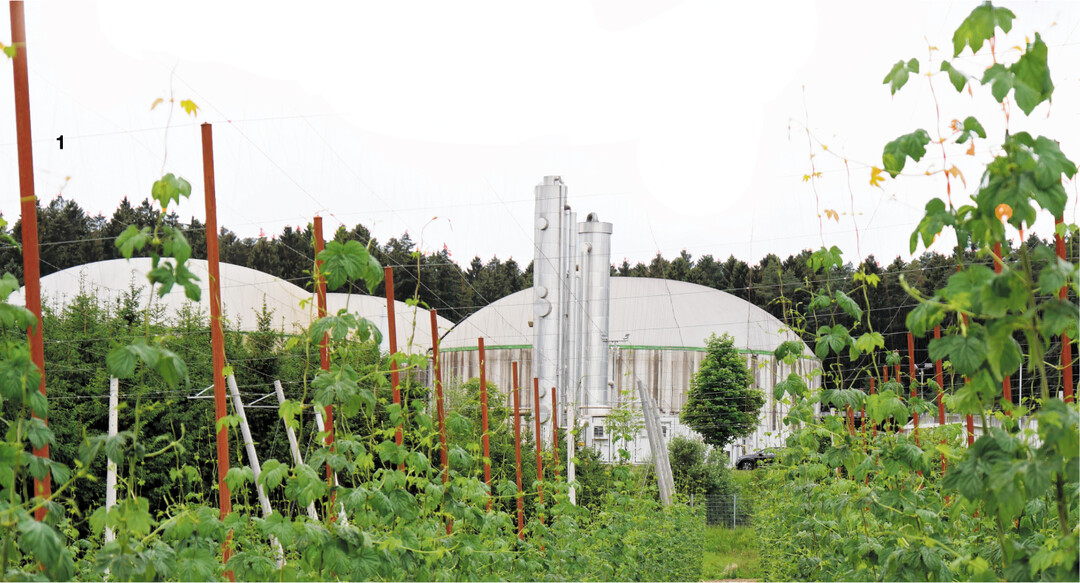 Hier wird aus 50.000 t Hopfenresten im Jahr Biomethan erzeugt. Der G�rrest kann zu Faserstoffen verarbeitet werden.