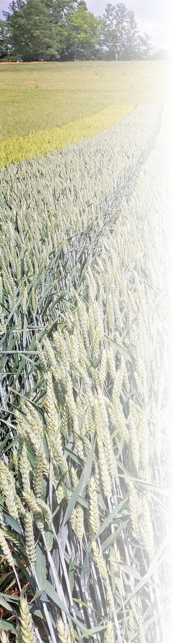 Der Pr�fstandort Kraichtal im Juni 2022.