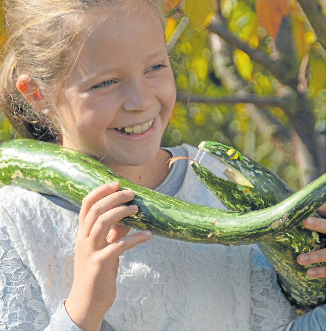 bild der woche Eine Schlange um den Hals und dann strahlend l�cheln? Anna-Maria kann das, denn es ist ja nur ein Schlangenk�rbis vom Bauern aus der Nachbarschaft, versehen mit Augen aus Knete und Z�hnen aus Papier.