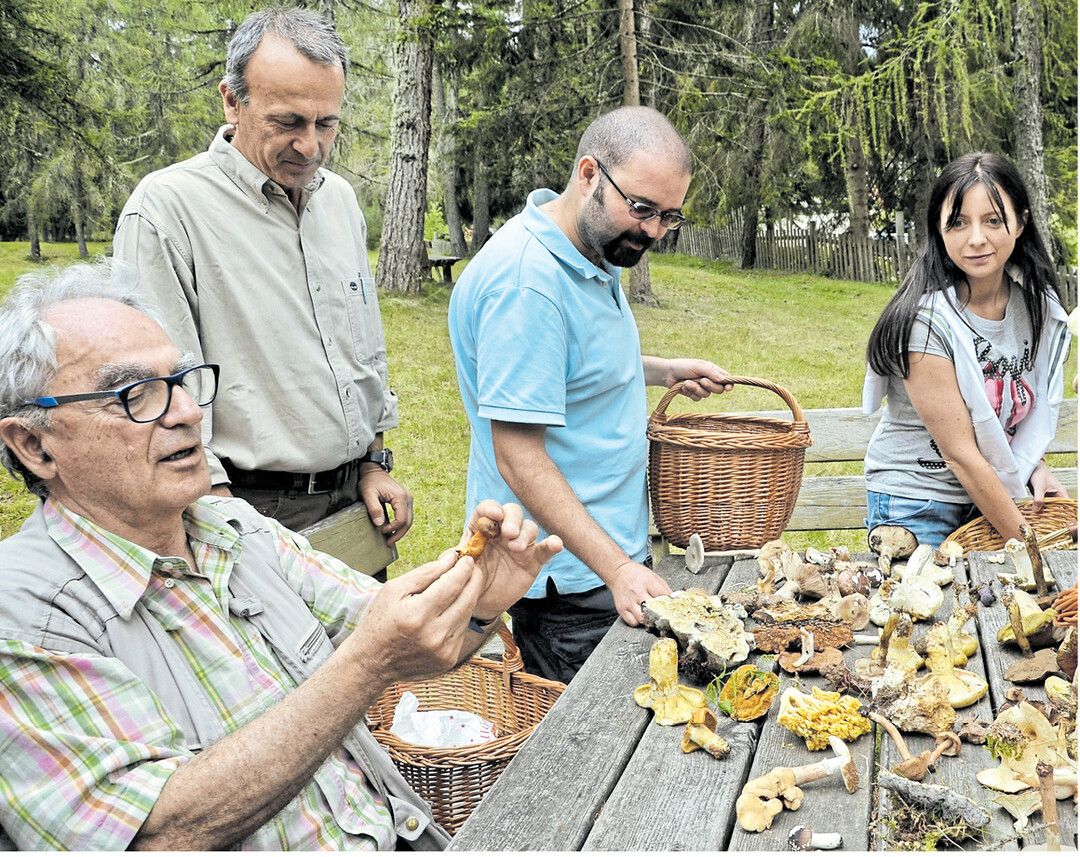 Die gesammelten Sch�tze werden von Freunden bewundert und vom Experten beurteilt.
