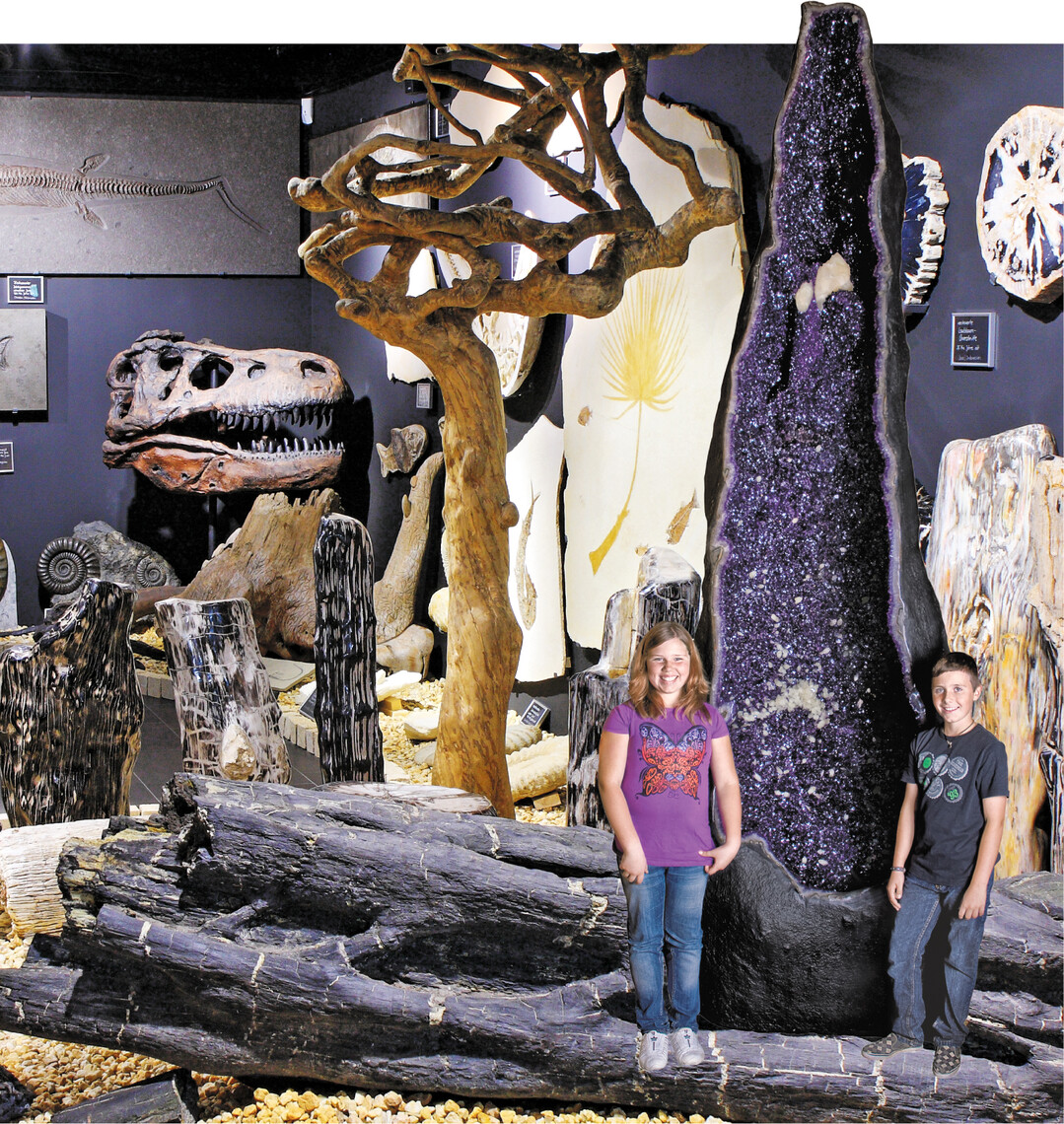 Riesenkristalle, Mineralien und Fossilien  Einblicke in die faszinierende Welt der Kristalle" bietet das Museum der Familie M�ller in Dietingen bei Rottweil: Naturwunder entdecken, Vergangenheit erforschen und im Shop f�ndig werden. Im Dokumentarfilm l�sst sich der Abbau und die Verarbeitung der Kristalle in den Minen S�dbrasiliens miterleben. Am Ortsrand von Dietingen bietet sich der Rundwanderweg durch ein Schwarzwildgehege (Grillplatz, H�tte) an. Zur Einkehr lockt der Genie�erhof" der Familie Schittenhelm. In luftiger H�he k�nnen dort im Schwarzwald-Baumhaus sogar zwei Personen �bernachten (Infos: www.welt-der-kristalle.de, www.geniesserhof.de.