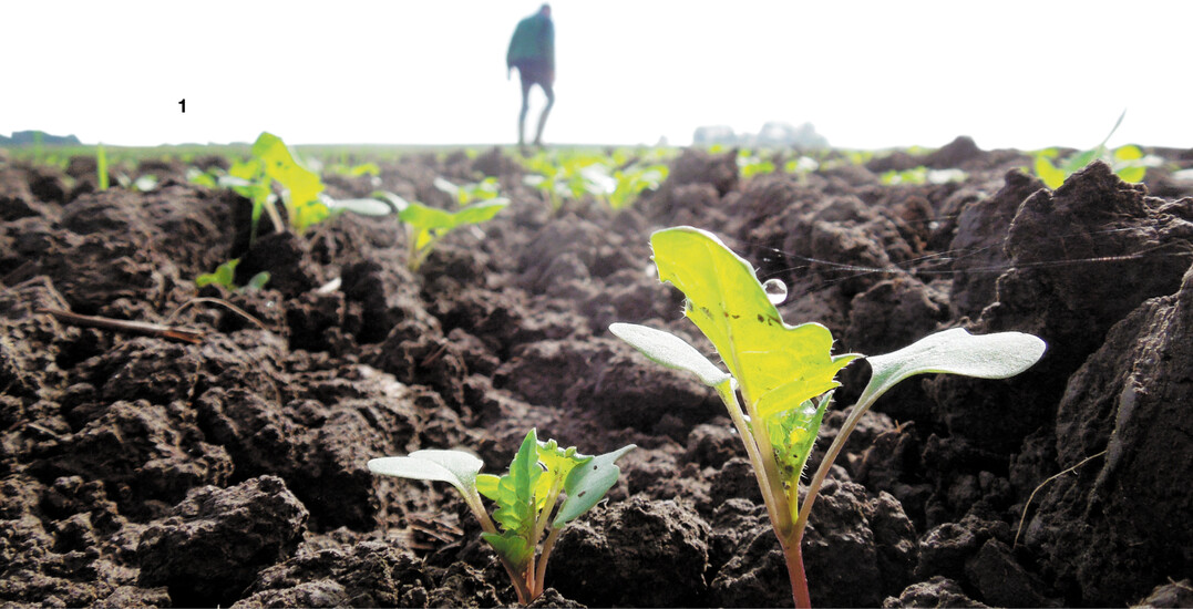 Wenn einem die Schulden �ber dem Kopf wachsen, ist es gut, rechtzeitig die Rei�leine zu ziehen und sich externe Unterst�tzung zu holen.