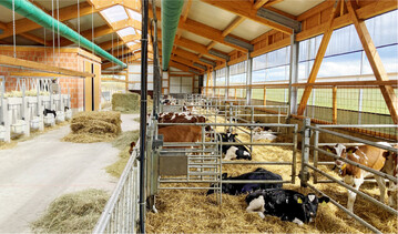 Mit einer Schlauchbel�ftung k�nnen K�lber gezielt mit frischer, zugfreier Luft versorgt werden. Das senkt das Risiko f�r Atemwegs- und Durchfallerkrankungen.