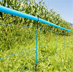 Der Zaun hält unter anderem Wildschweine fern.