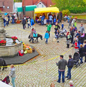 Herbstwirbeln in Waldenbuch Endlich wieder Familientag im Museum der Alltagskultur Schloss Waldenbuch! Am, dürfen Klein und Groß im Museum sowie im Schlosshof mit den tanzenden Herbstblättern um die Wette wirbeln. Auf die Gäste warten zahlreiche Angebote vom Ponyreiten bis zum Krauthobeln, von der Kreativ-Werkstatt bis zum Kasperle. Der Eintritt ins Museum ist frei, ebenso in die neu eröffnete Mitmach-Ausstellung Geht doch! Erfindungen, die die Welt (nicht) braucht". Im Schlosshof wird Honig geschleudert und Kraut gehobelt. Bei der Verarbeitung von frisch geernteten Krautköpfen können Kinder und Erwachsene selbst mit Hand anlegen. Für das gehobelte Kraut sollte ein Gefäß mitgebracht werden. Die Eselsmühle" hat unterschiedlichste Brotsorten im Angebot. Beim Probieren lässt sich der Geschmack verschiedener Getreidesorten entdecken. Vor dem Hoftor werden historische Traktoren und Kürbisse in allen Größen und Farben präsentiert.