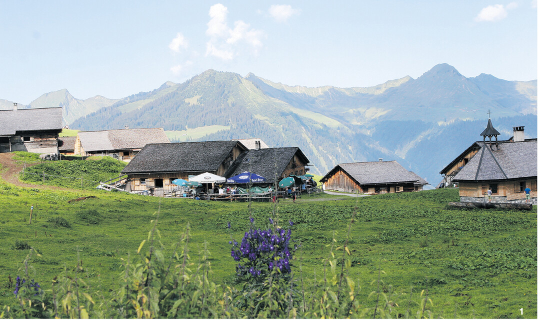 Sonnenplateau im Biosh�renpark Gro�es Walsertal: Die Alpe Steris.