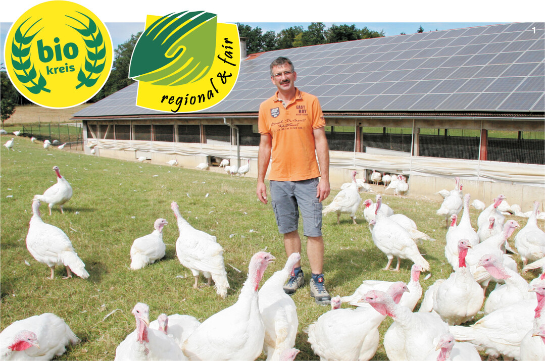 Michael Mack ist Mitglied im Anbauverband Biokreis und vermarktet seine Produkte unter dem regional & fair"-Siegel. Wegen der zunehmenden Direktvermarktung hat er jetzt seine Schlachtkapazit�t ausgebaut.