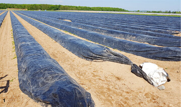 F�nf Prozent der durch landwirtschaftliche Praktiken verursachten Kunststoffemissionen gehen auf Folien, Vliese und Netze zur�ck.