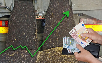 Raps ist am Weltmarkt knapp und stark gefragt. An der Matif kletterte der Kurs f�r den Novemberraps am 24. September auf ein neues Allzeithoch von 619 Euro/t.