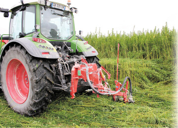 Das Hanfschneidwerk arbeitet mit zwei Messerbalken, die die Pflanzen teilen.