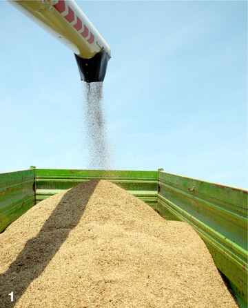 Die Getreidepreise befinden sich weltweit auf einem ungew�hnlich hohen Niveau und schwanken h�ufig stark.