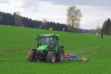 Winterweizen mit wenig Ungr�sern kann gestriegelt werden, wenn regen- und frostfreie Tage folgen.